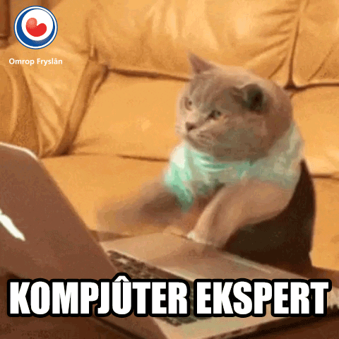 computer expert cat